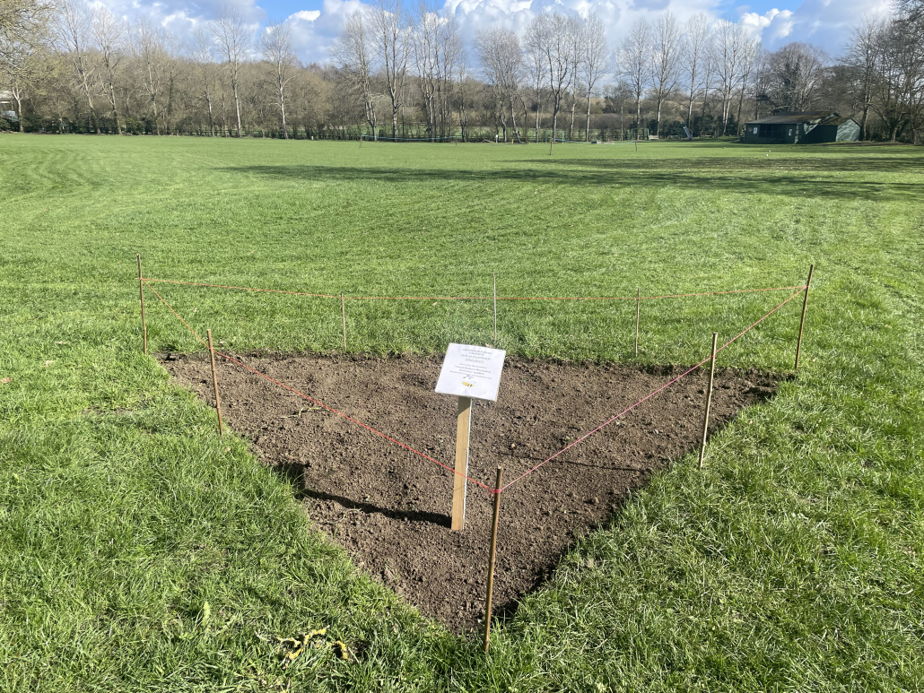 Local Nature Recovery Scheme – Aspenden Parish Council